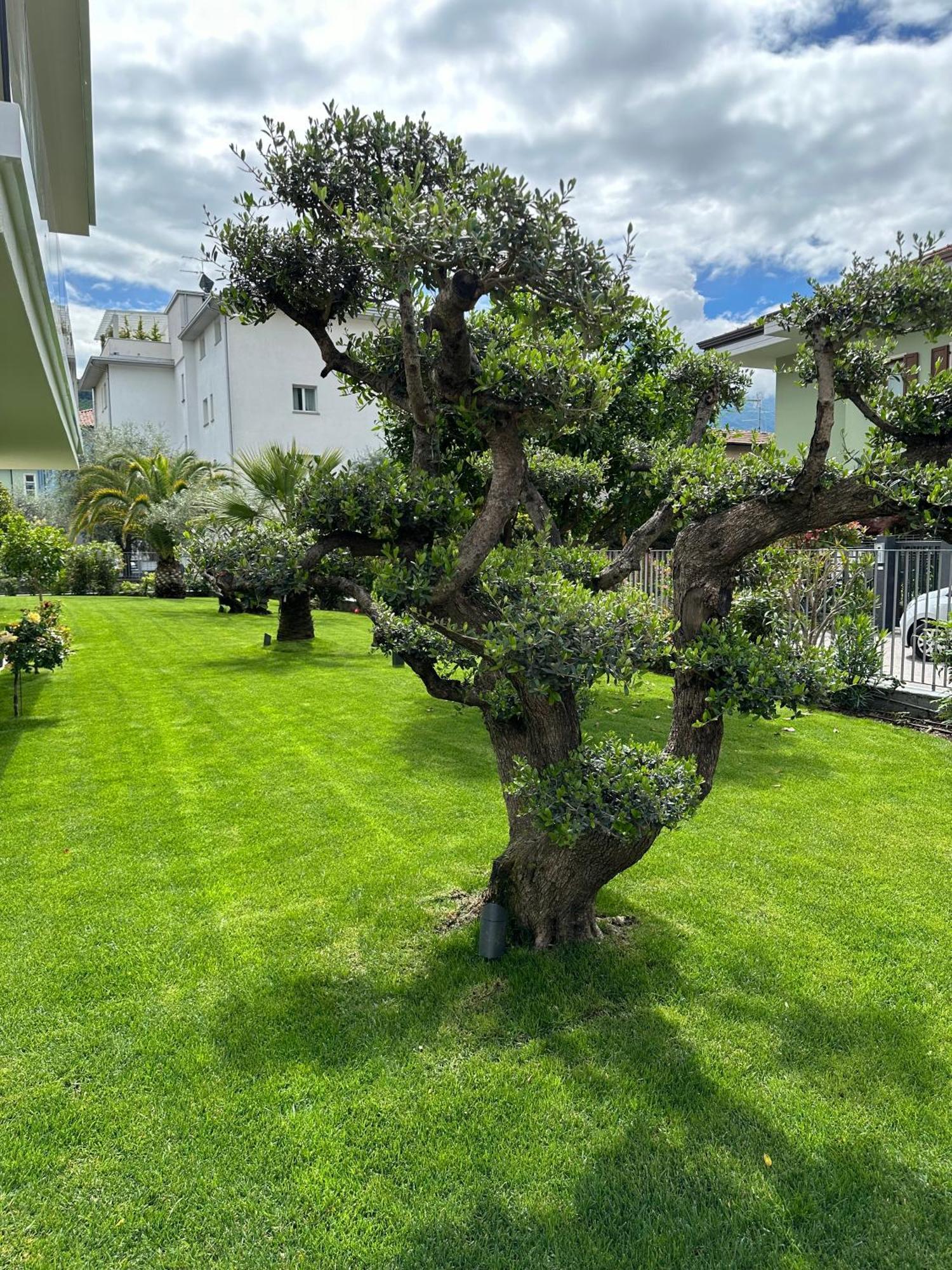 Residence Villa Dalila - Appartamento Dalila ريفا ديل غاردا المظهر الخارجي الصورة